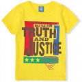 BD1005-Superman Battle For Truth And Justice T-Shirt, Yellow